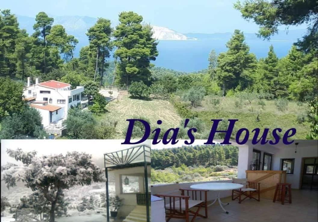 Wildherb House Agriovotano Екстериор снимка
